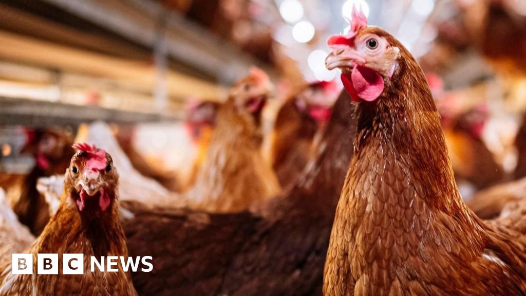 Agriculture faces 'triple threat' of animal diseases